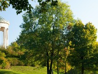 Münchner Klimarat 